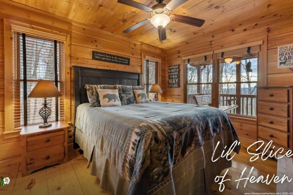 Lil Slice Of Heaven - Perfect Views-Hot Tub-Wine Villa Blue Ridge Exterior foto